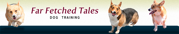 Far Fetched Tales Dog Training